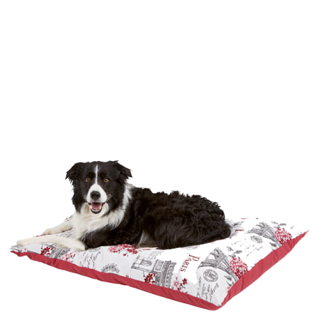 Cama best sale combi perro